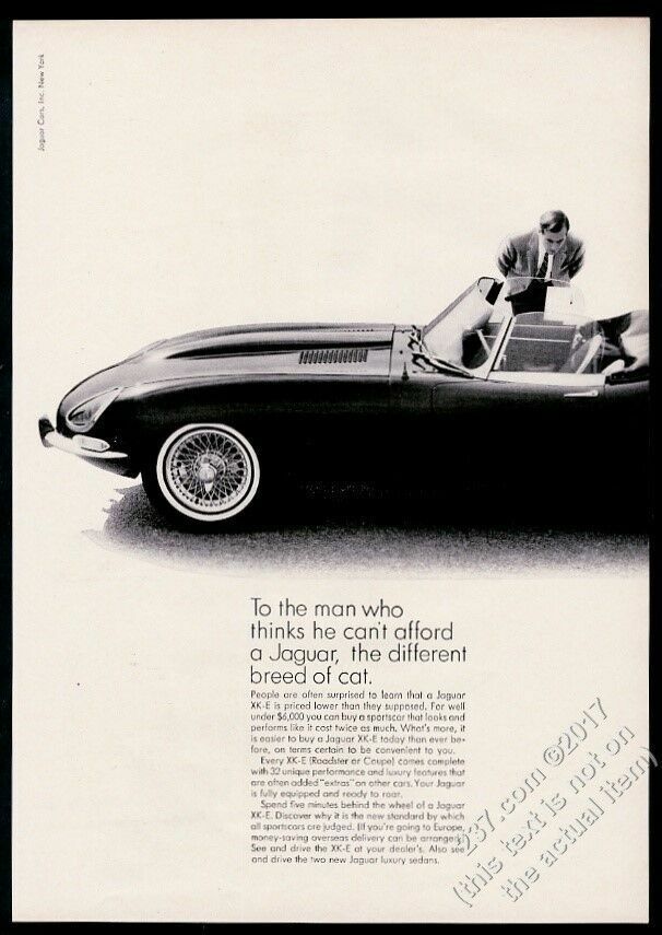 1965 Jaguar XKE XK-E roadster convertible car photo The Different Breed print ad