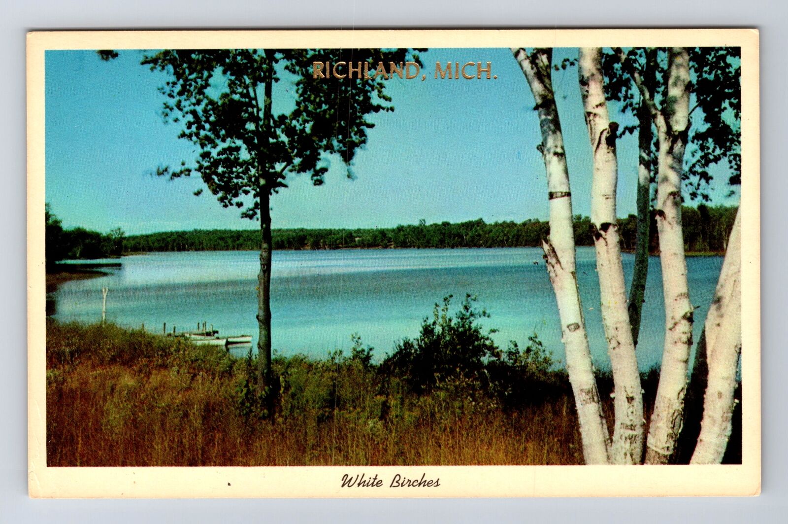 Richland MI-Michigan, Greetings White Birches Antique Souvenir Vintage Postcard