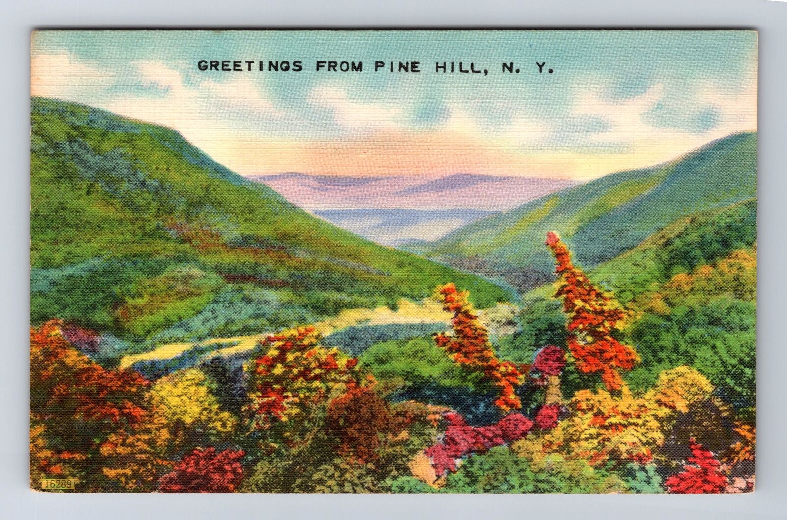 Pine Hill NY-New York, General Greetings, Fall on Pine Hill, Vintage Postcard