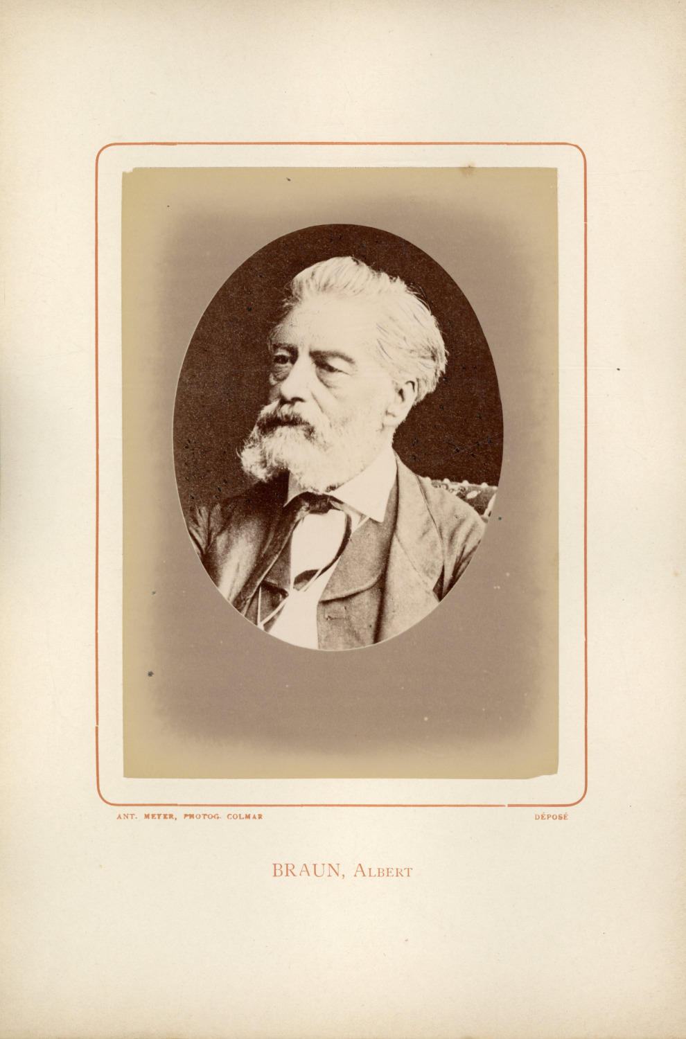 Ant. Meyer, Photog. Colmar, Albert Braun (1808-1882), Vintage Musician Albumin p