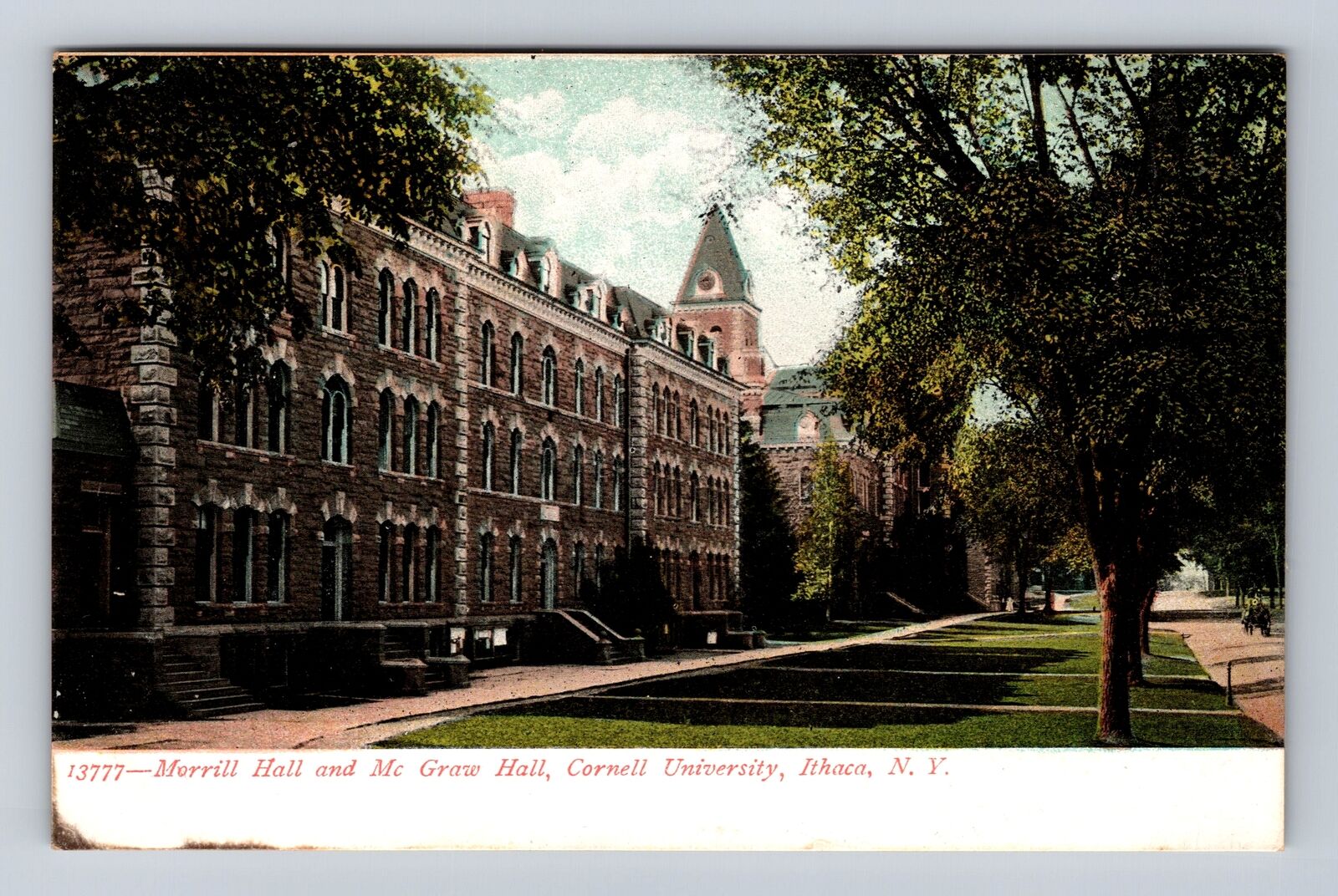 Ithaca NY-New York, Cornell University Morrill Hall McGraw Hall Vintage Postcard