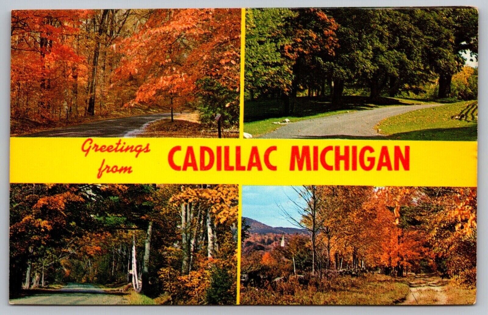 Greetings From Cadillac Michigan Mi Postcard