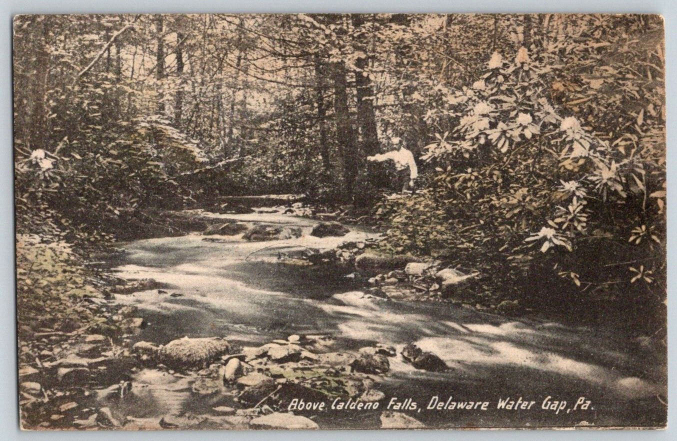 Antique Postcard~ Above Caldeno Falls~ Delaware Water Gap, Pennsylvania