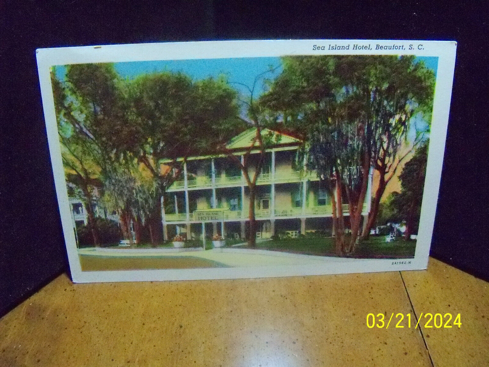 1953 Sea Island Hotel moss draped trees Beaufort SC S Carolina
