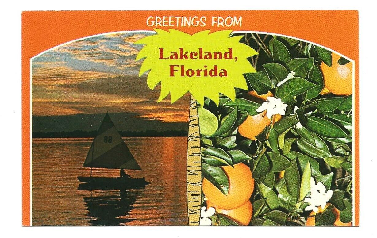 Greetings from Lakeland FL Postcard Florida Vintage