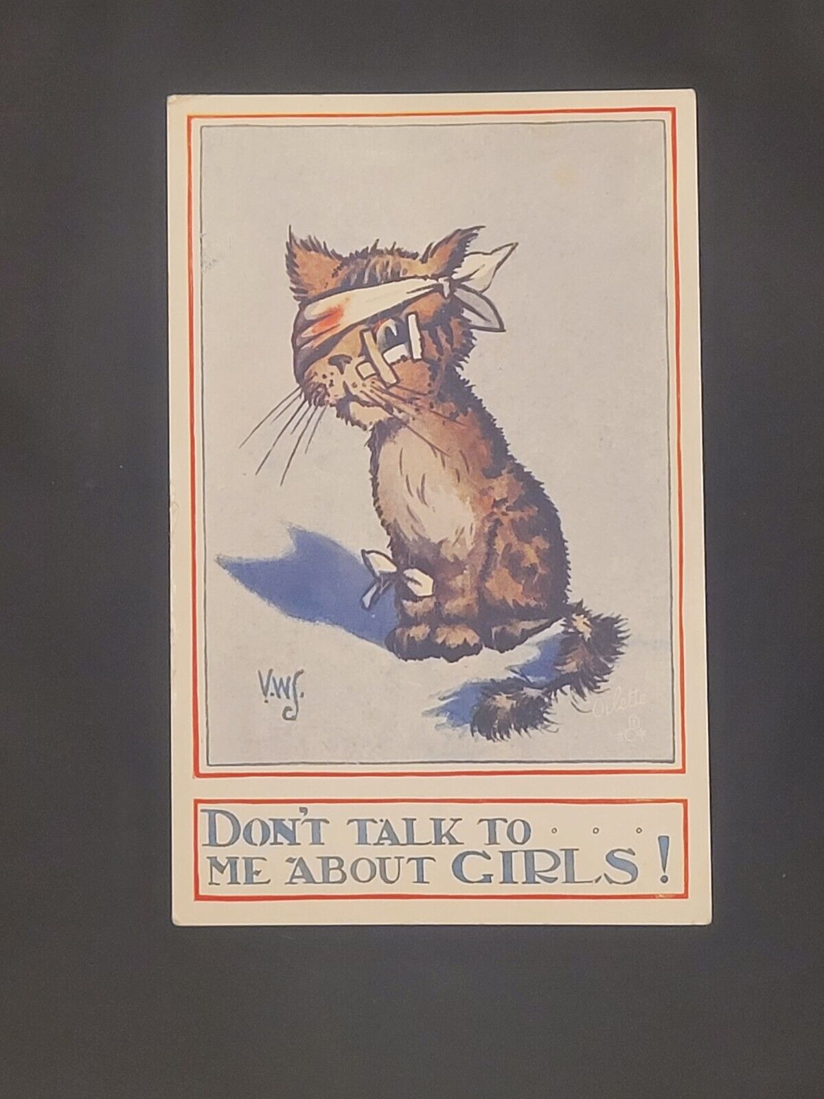 Postcard Dont Talk To Me About Girls Cat Vintage Artist c1910 Oilette Tuck Cat
