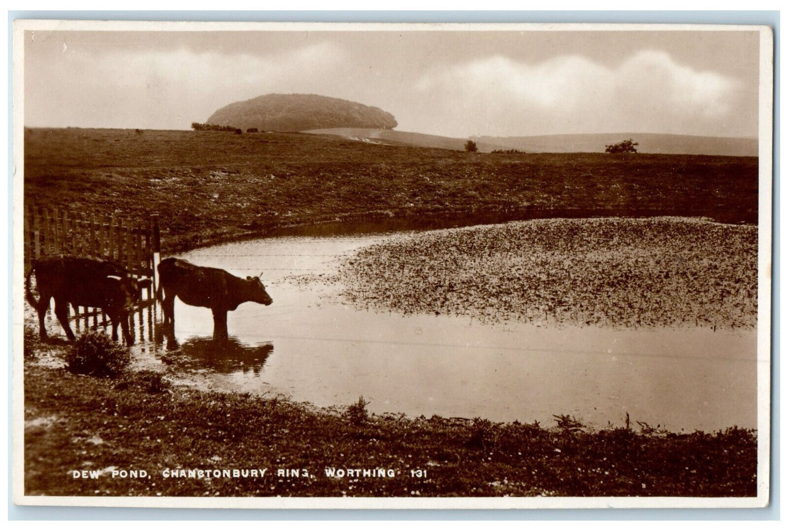 1937 Dew Pond Chanctonbury Ring Worthing West Sussex England RPPC Photo Postcard