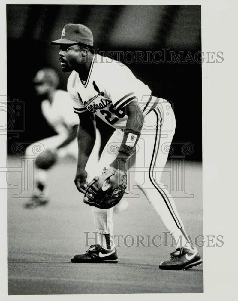 1991 Press Photo St. Louis Cardinals baseball player Pedro Guerrero - afa00460