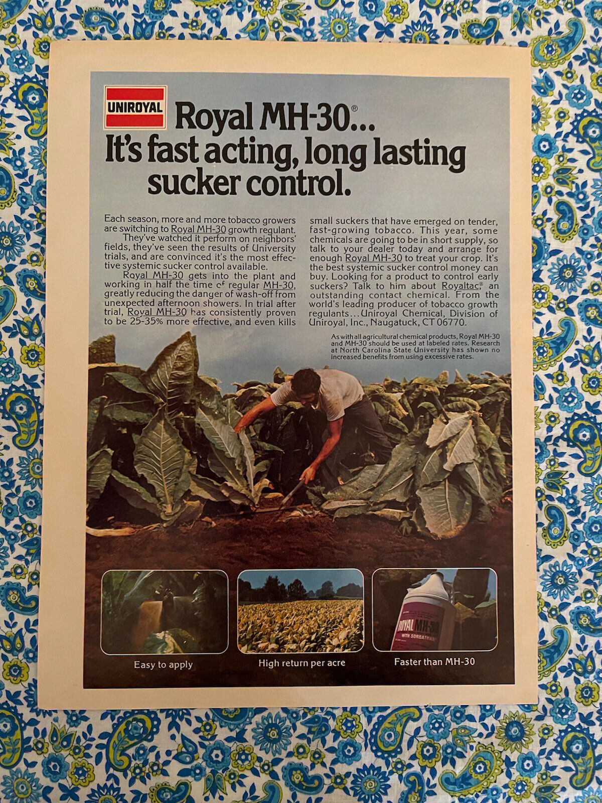 Vintage 1976 Uniroyal Royal MH-30 Sucker Control Print Ad
