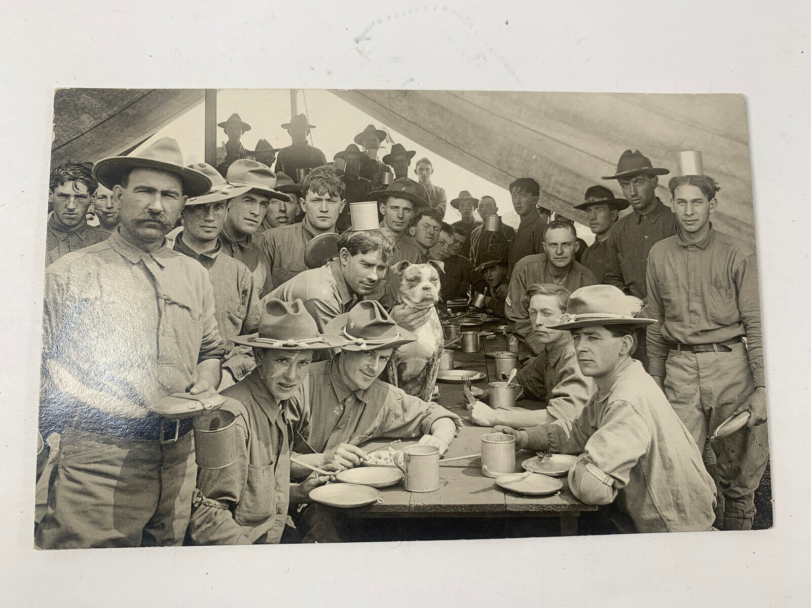 VTG RPPC WW1 3RD INFANTRY DIVISION SOLDIERS AT MESS W/MASCOT POSTCARD CIRCA 1917