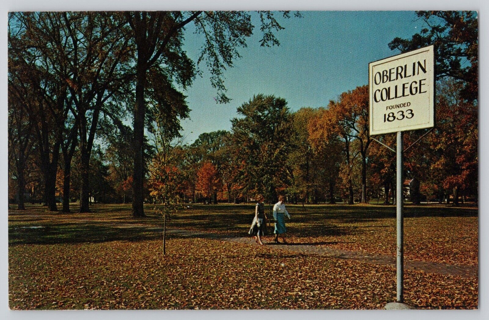 Oberlin College 1833 Postcard OH Tappan Square Chrome Fall Colors