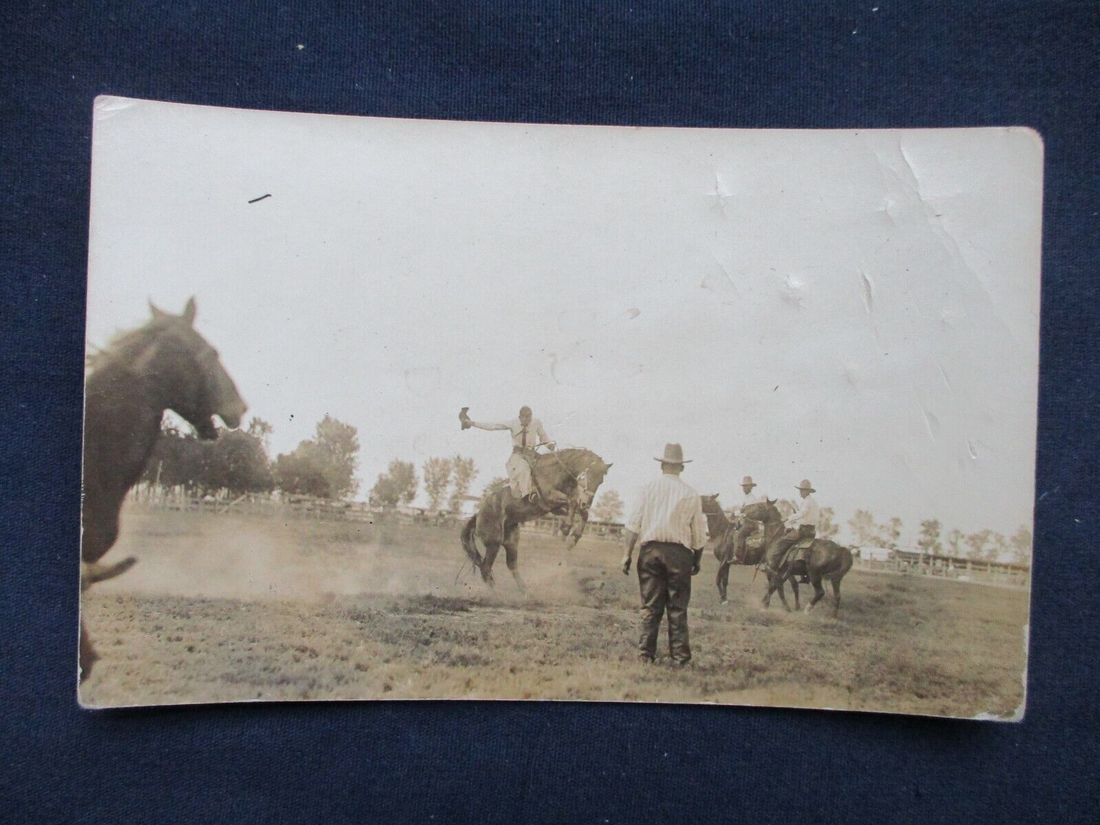 RP Cowboys & Bucking Broncho 1910s Postcard