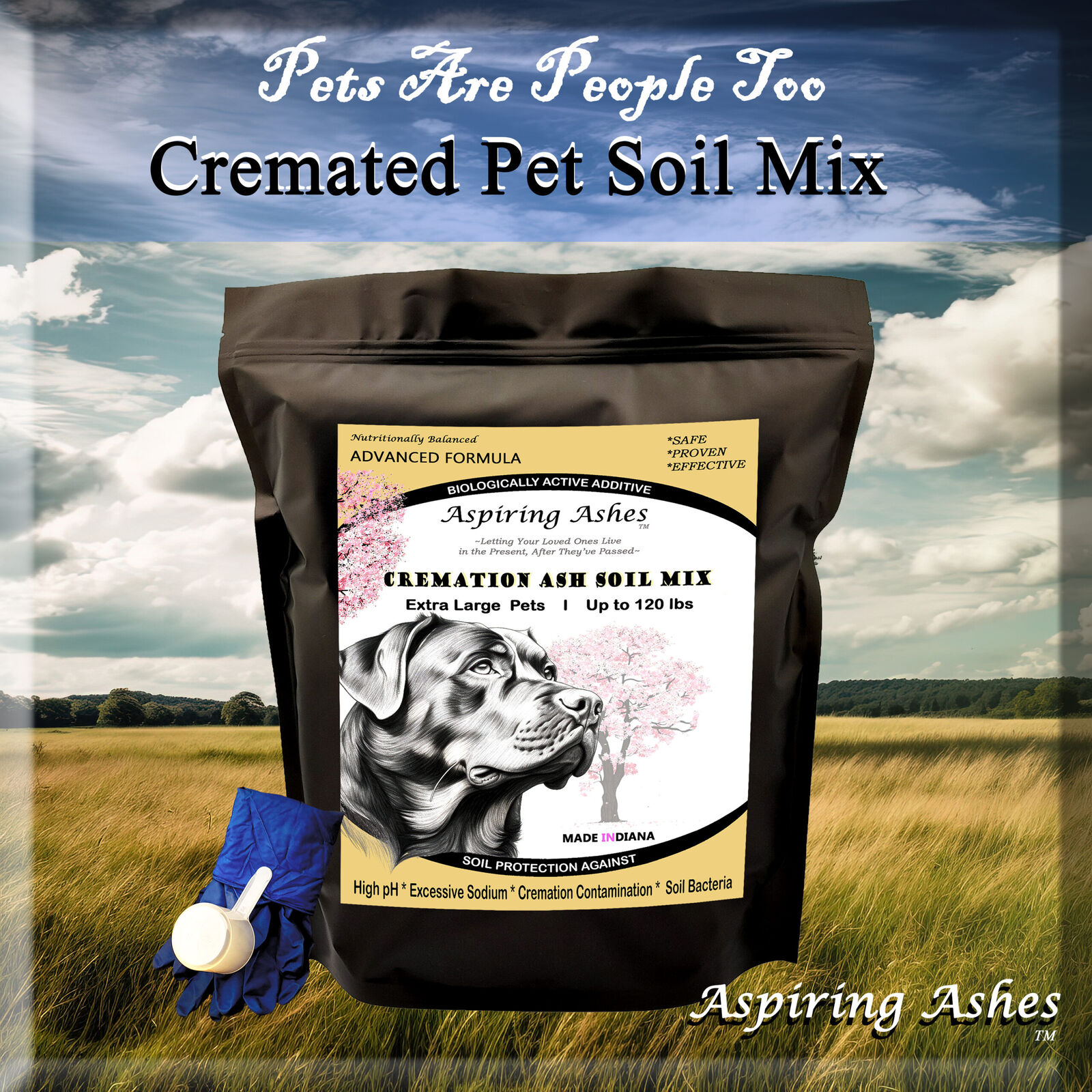 Pet CREMATION Memorial SOIL | Bio Urn for Pet Ashes Alternative: Extra Large