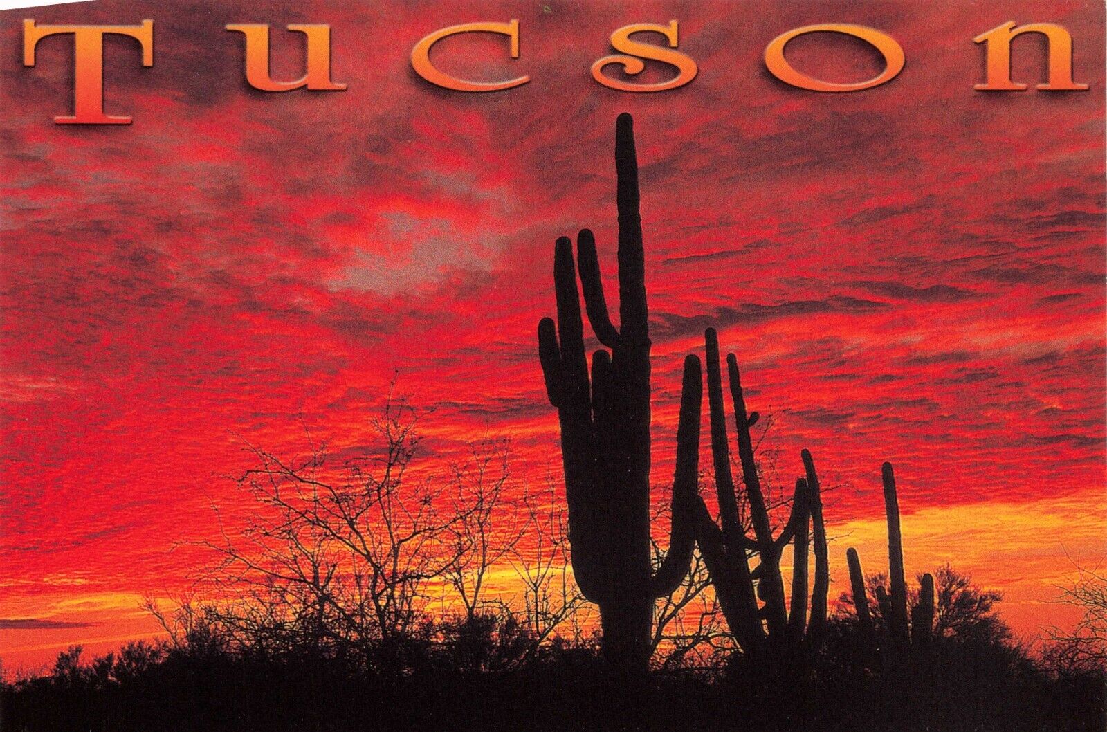 Tucson Arizona Sunset Sunrise Scenic View Cacti Vintage Postcard Unposted