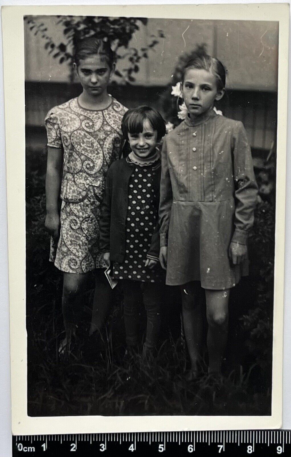 Old photo Cute Children, Three Charming Attractive Girls #810