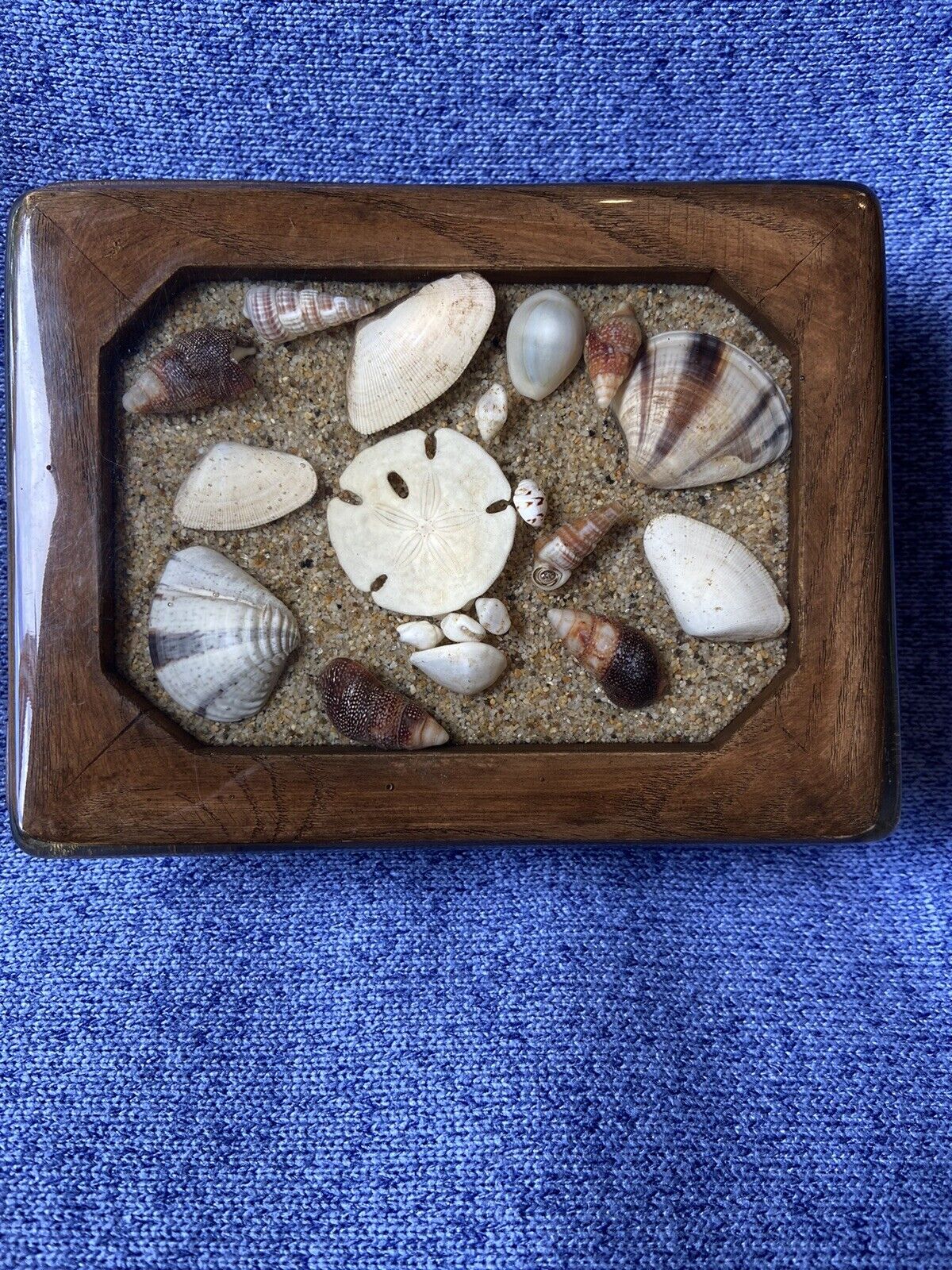 Wood & Acrylic Shells Lidded Trinket Box Vintage 1970\'s Rectangle Design Gifts