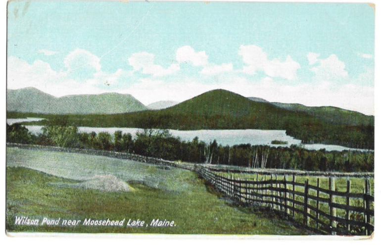 Moosehead Lake Wilson Pond Maine 1905 Greenville USA Antique DB Vintage Postcard