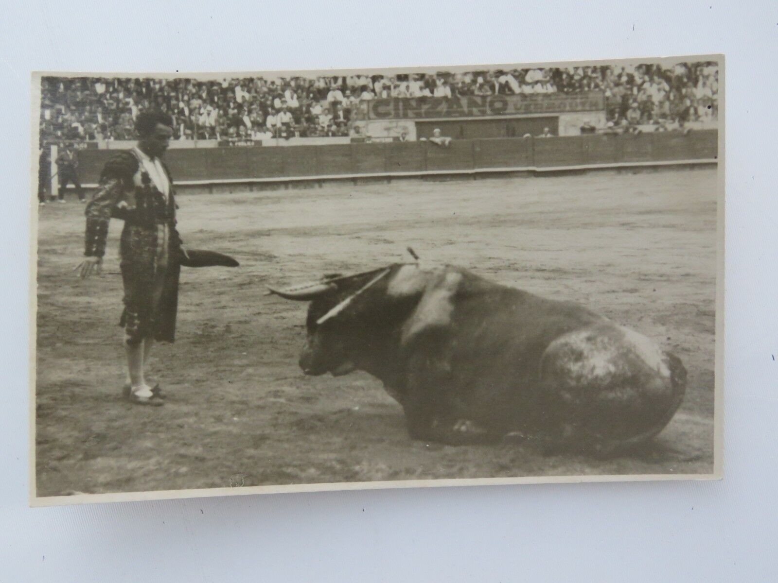 1900s Antique RPPC Postcard Bullfighting Bull Down Bullfighter A1484