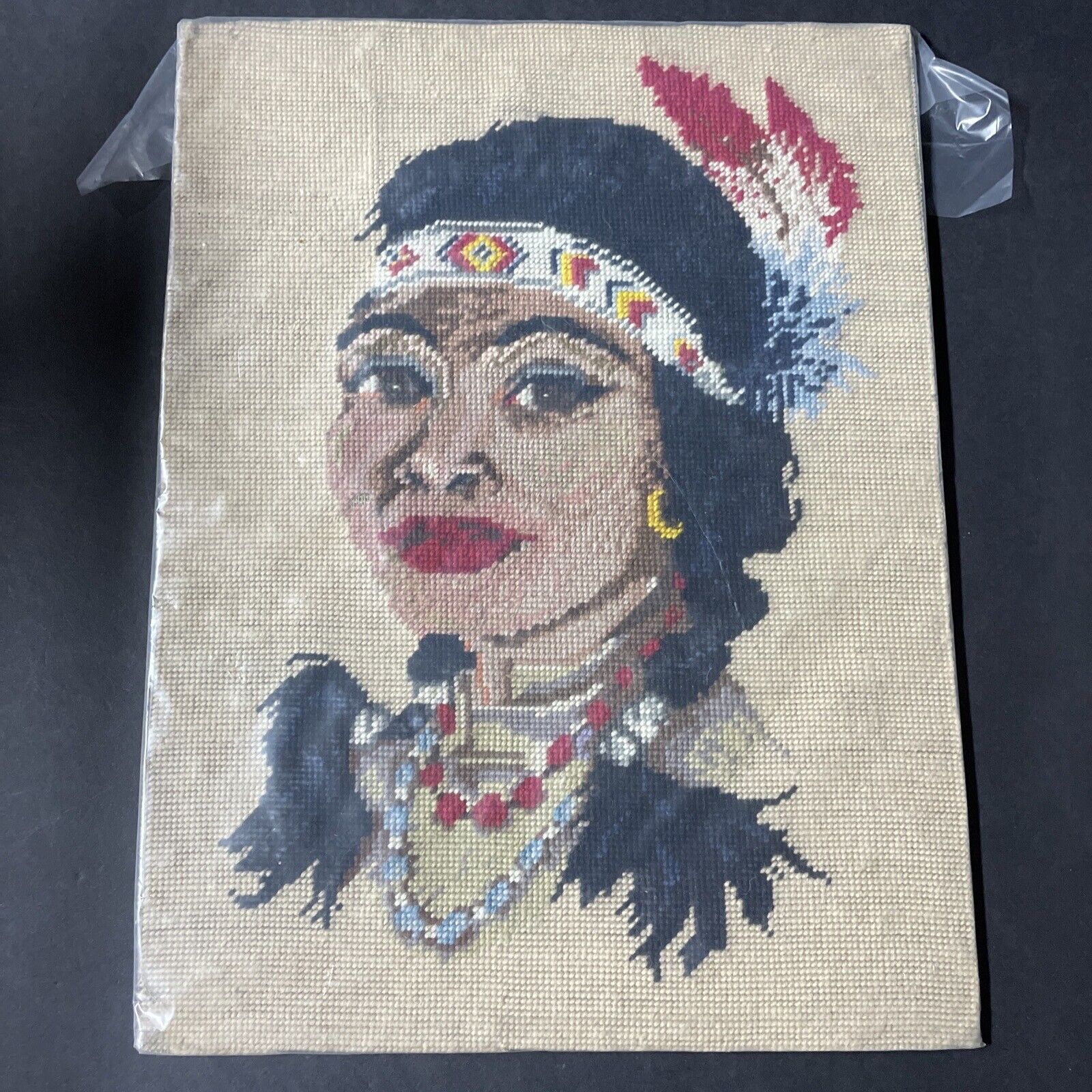 Antique 1920-1940s Native American Indian Sioux Woman Needlepoint Craft Wall Art