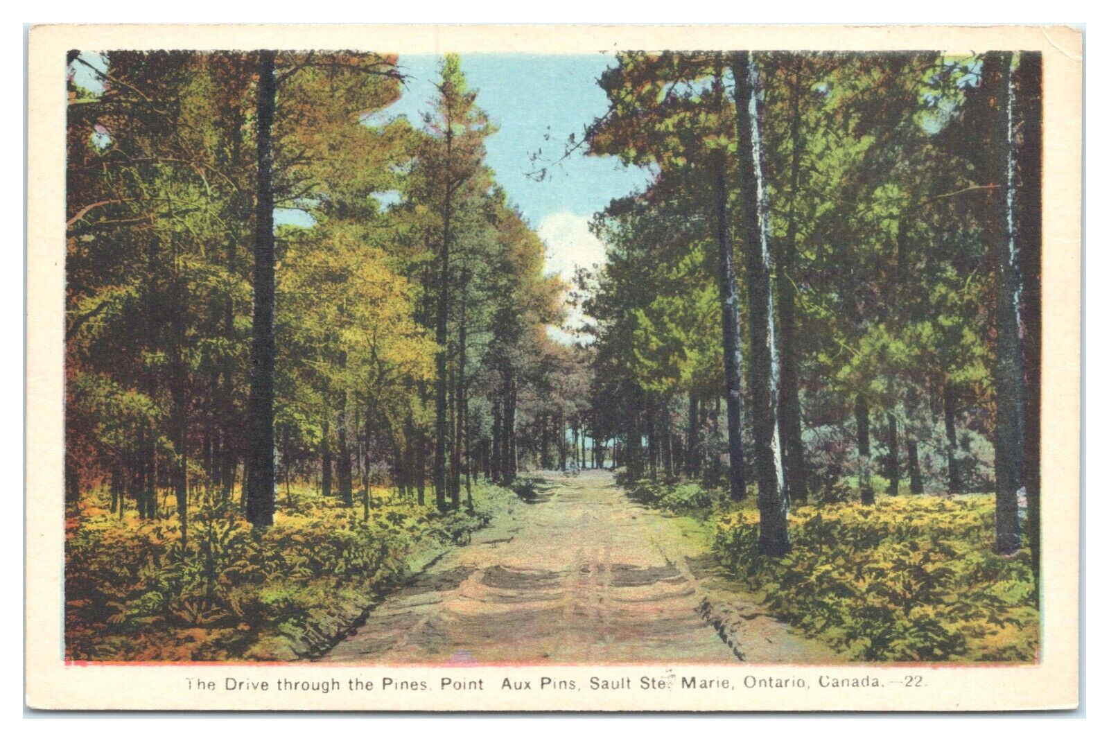 The Drive Through The Pines, Point Aux Pins, Sault Ste. Marie, Ontario, Canada
