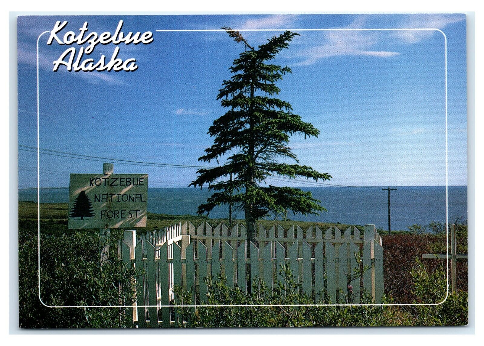 Postcard Kotzebue National Forest (smallest) AK Alaska AJ1