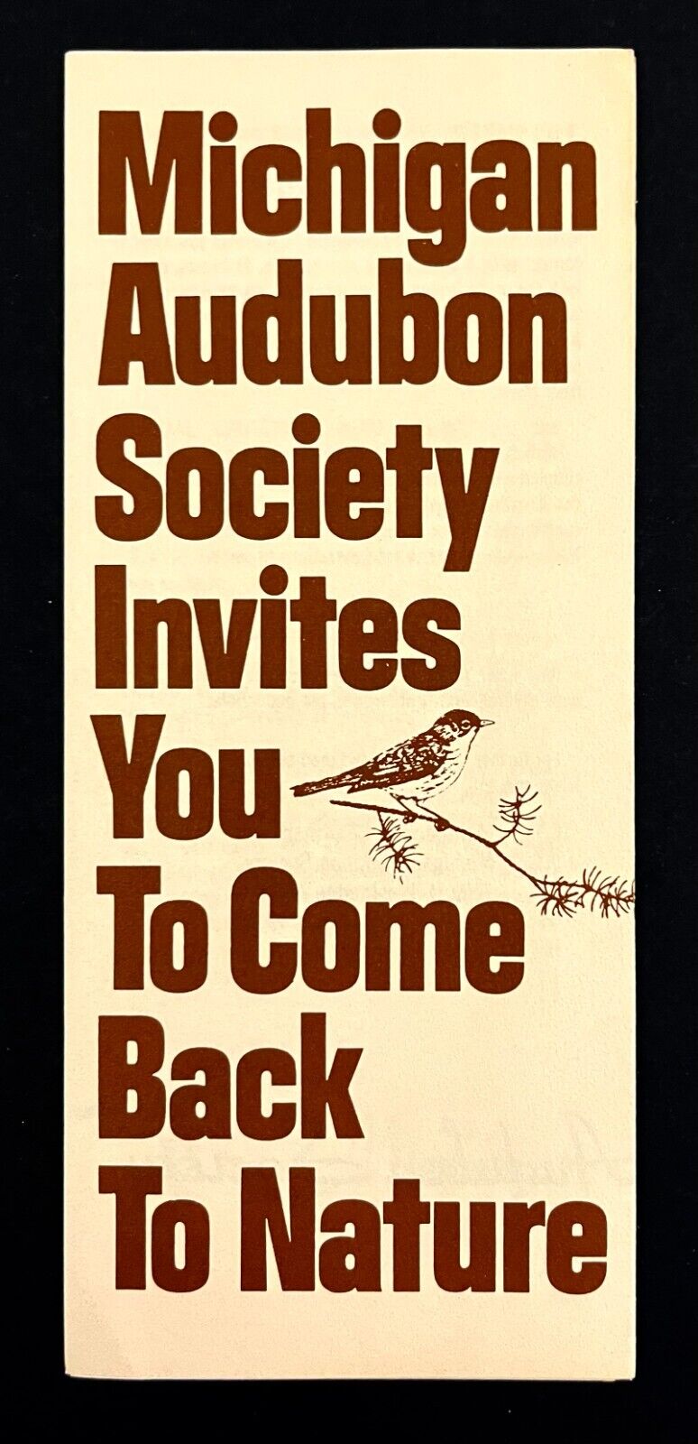 1980s Michigan Audubon Society Invites You Vintage Travel Membership Brochure