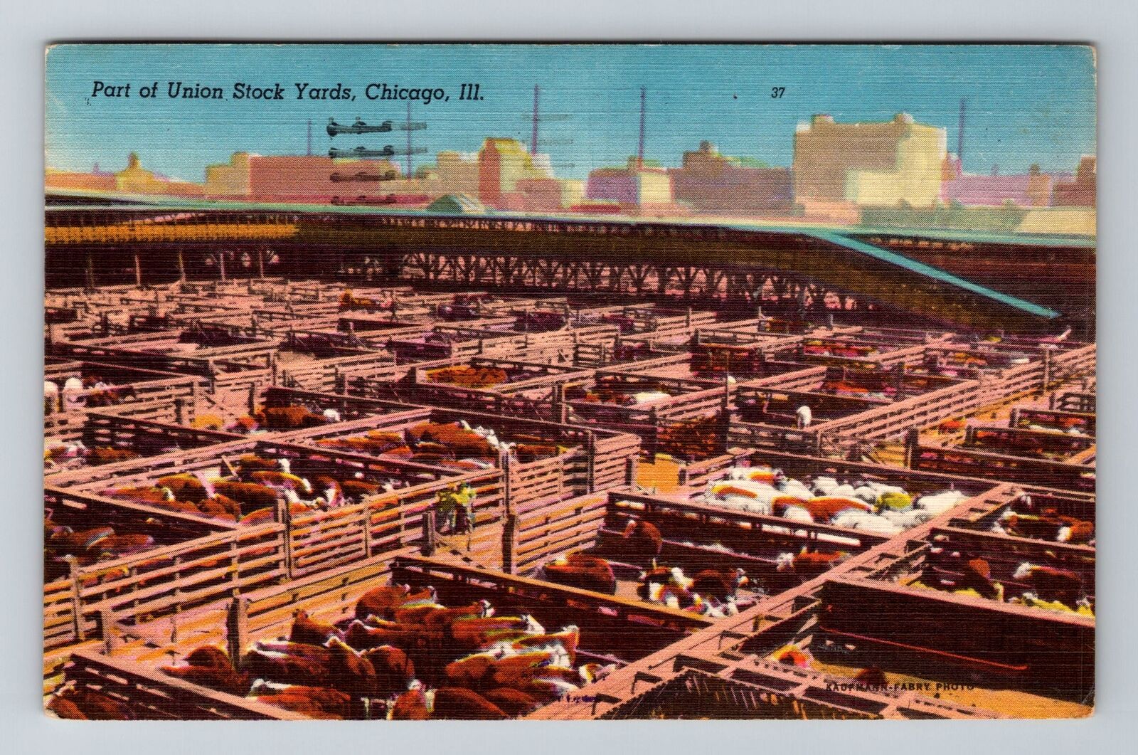 Chicago IL-Illinois, Part Union Stock Yards, c1954, Vintage Postcard