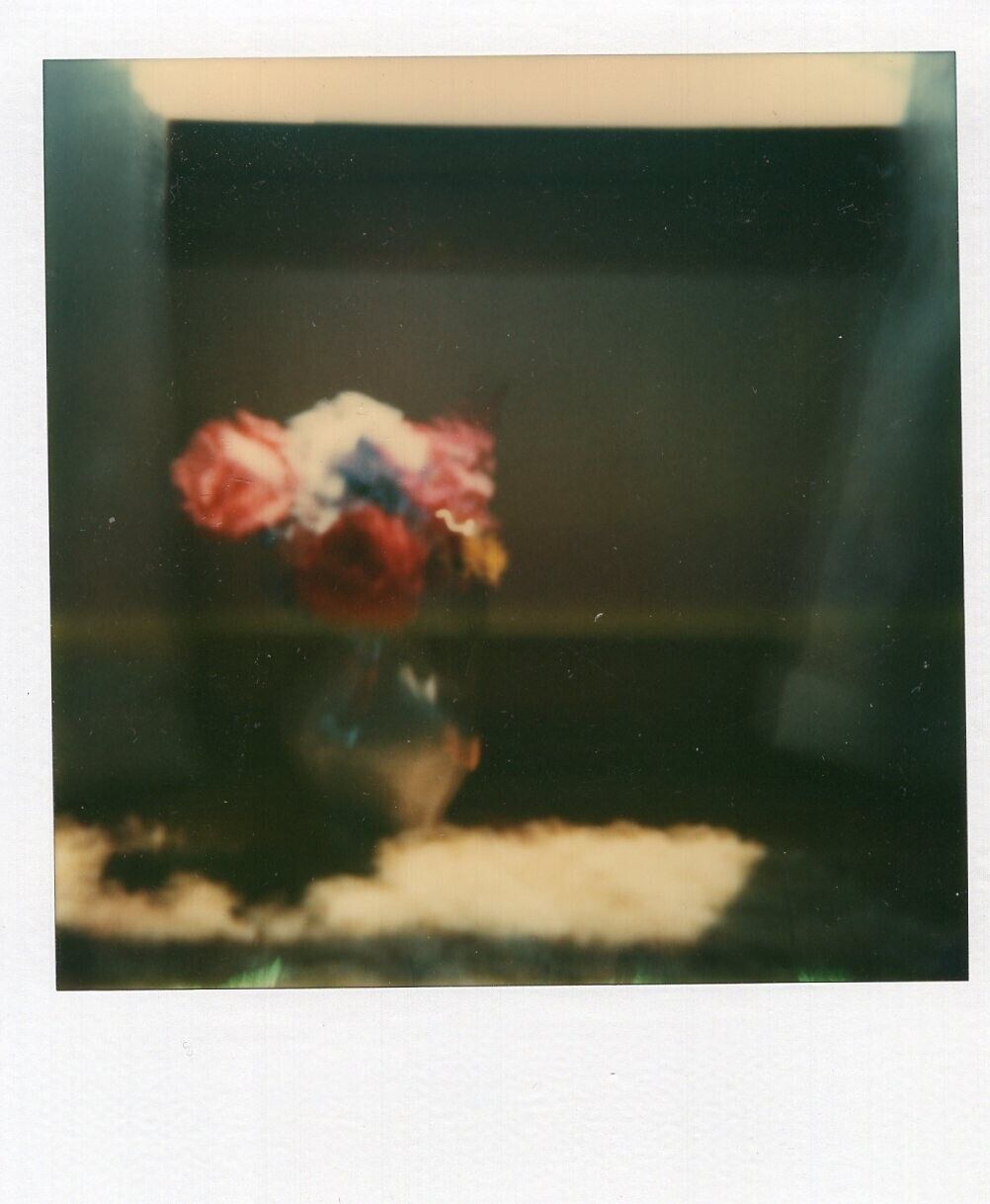 VINTAGE POLAROID PHOTO ODDITY ABSTRACT FLOWER BOUQUET SURREAL STILL LIFE FREE SH