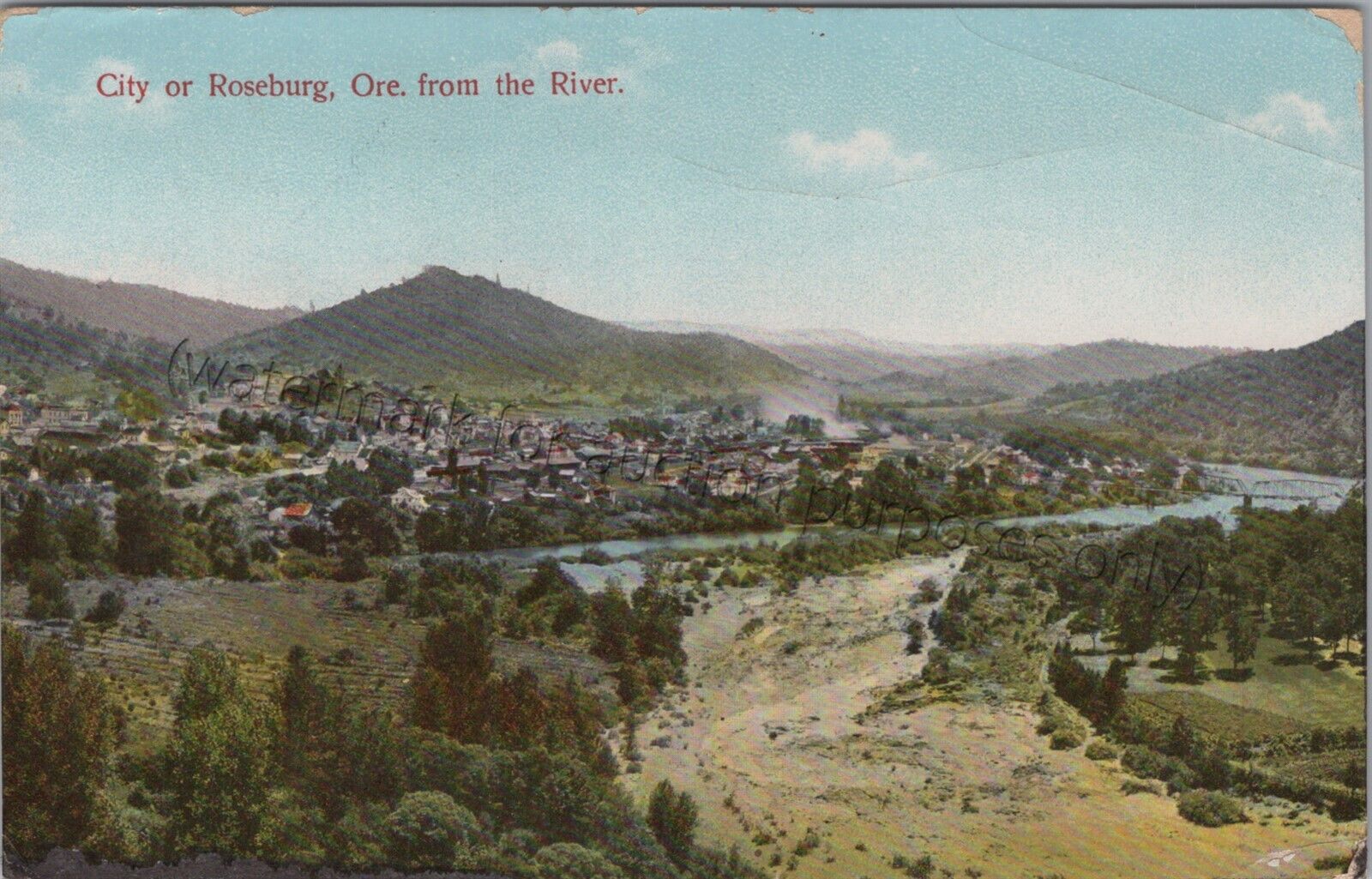 Roseburg, OR: 1911 View of Town - Vintage Douglas County, Oregon Postcard