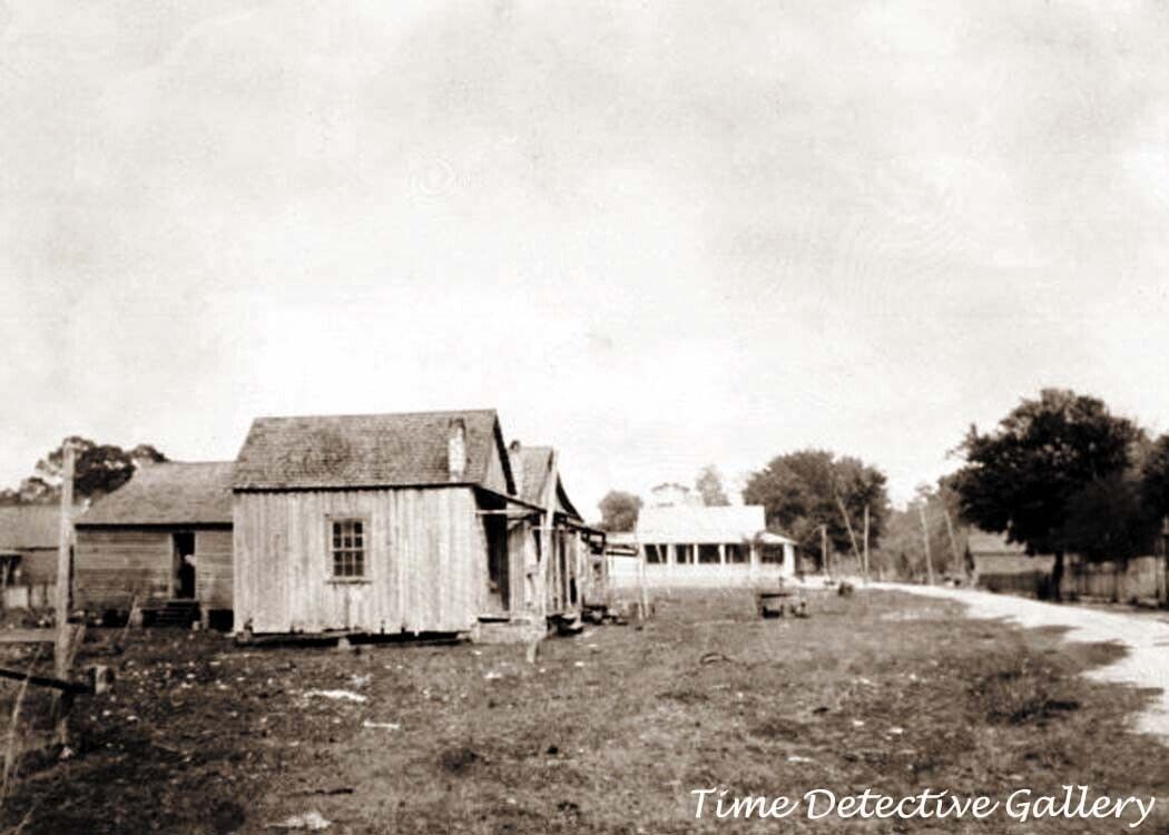Houses near the Dixon Mill, Crystal River, Florida -c1910- Historic Photo Print