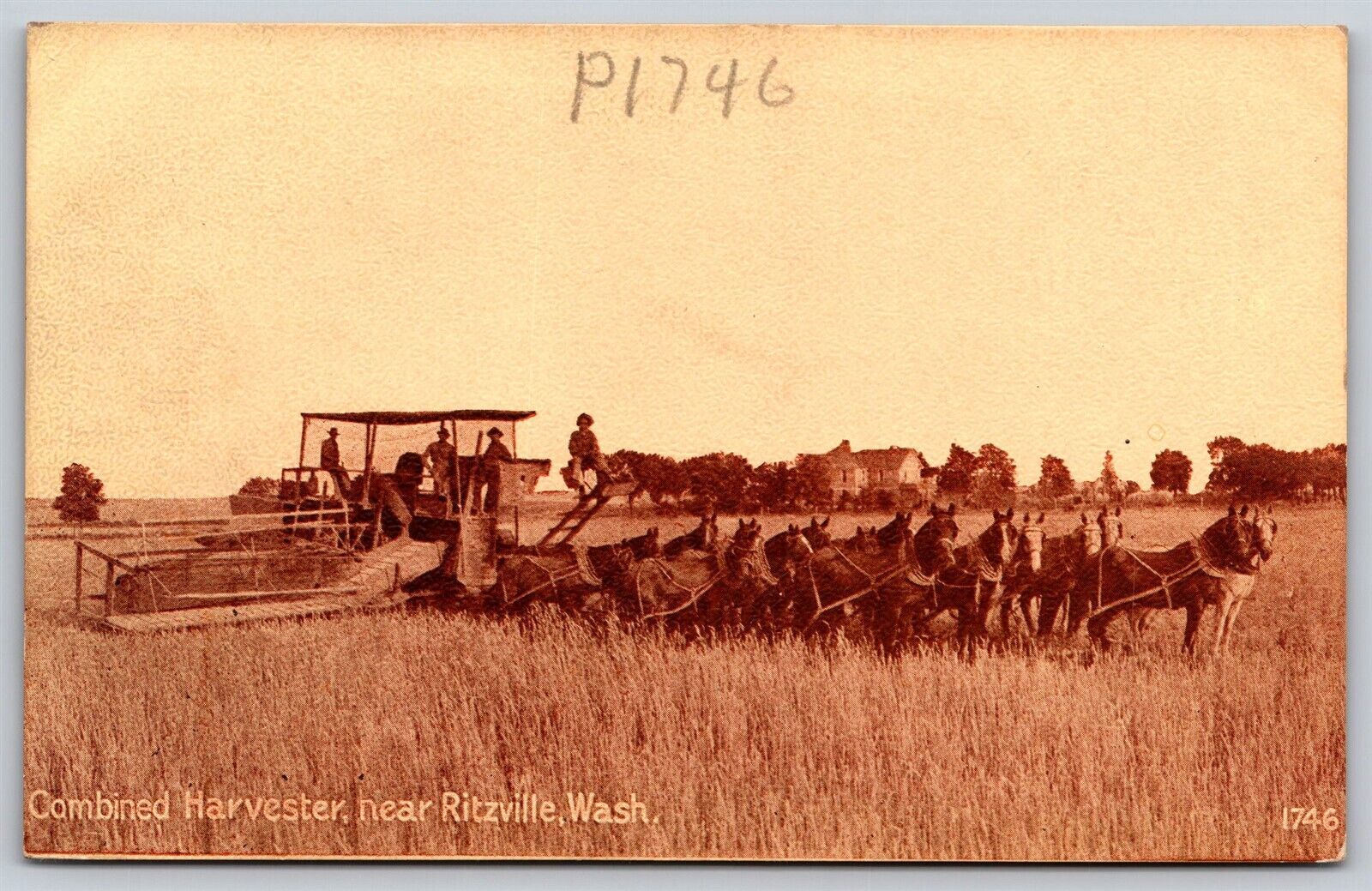 Postcard Combined Harvester near Ritzville, Washington farming horse T131