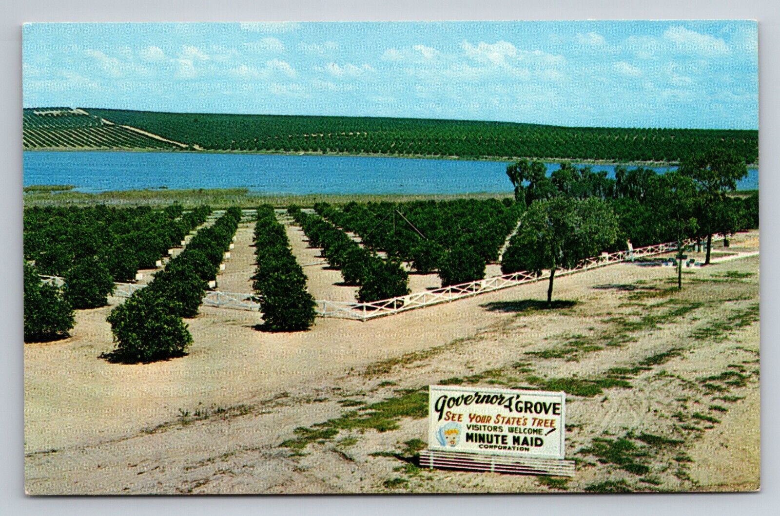 Governors\' Grove Clermont Florida Vintage Unposted Postcard