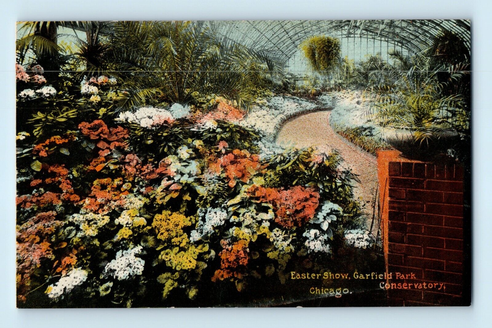 Easter Show Garfield Park Conservatory Chicago Flowers Palms Path Postcard A8