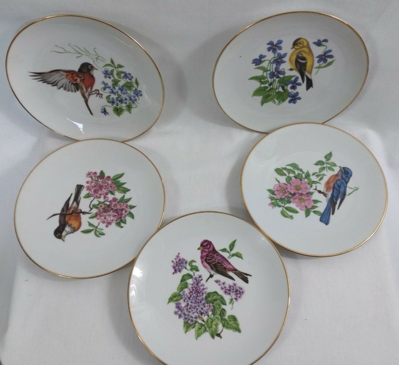 Vintage Bareuther Bird With Flowers Collector Plates Set of 5