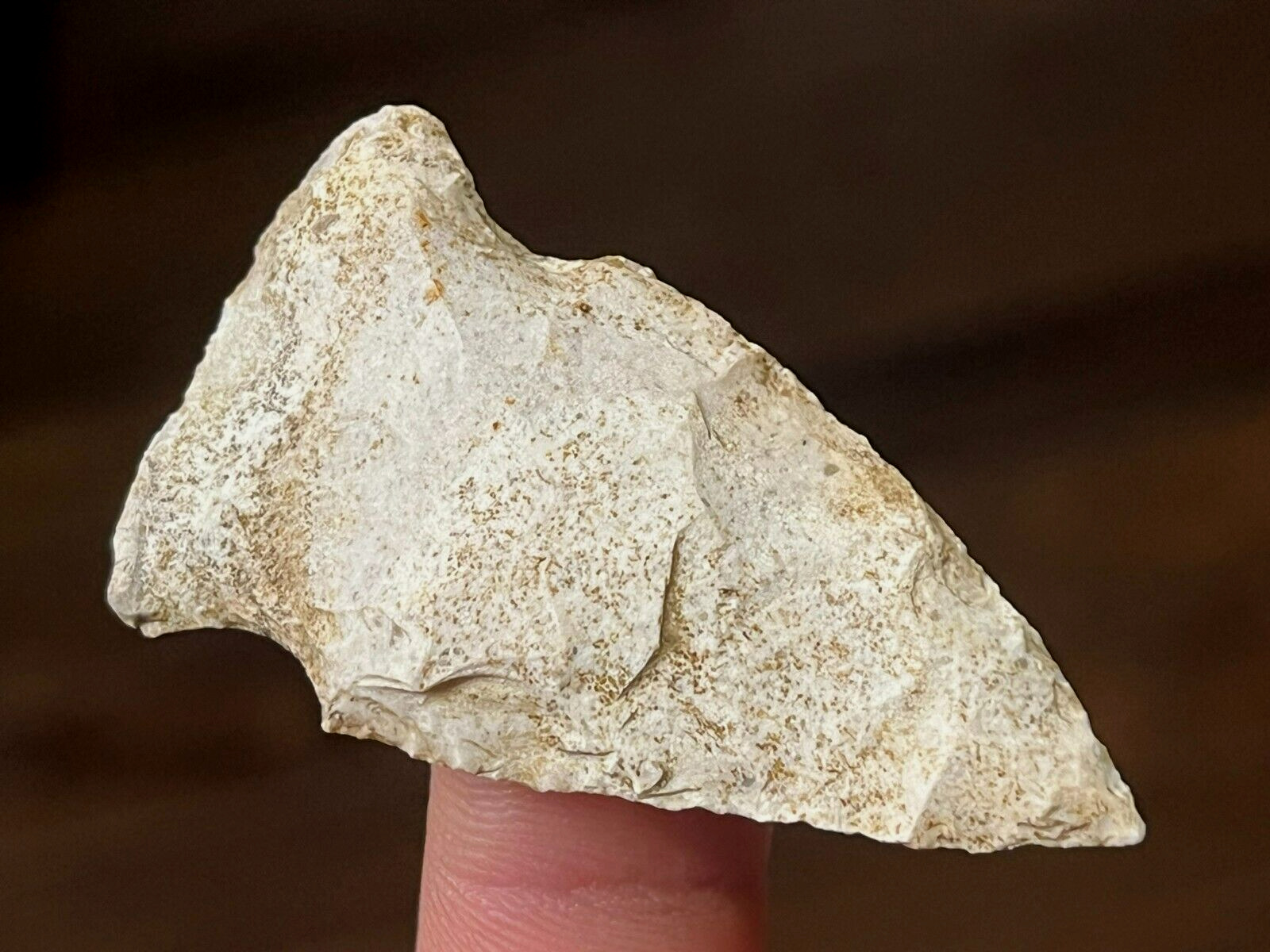 OUTSTANDING HOPEWELL POINT MISSOURI ARROWHEAD AUTHENTIC INDIAN ARTIFACT M20