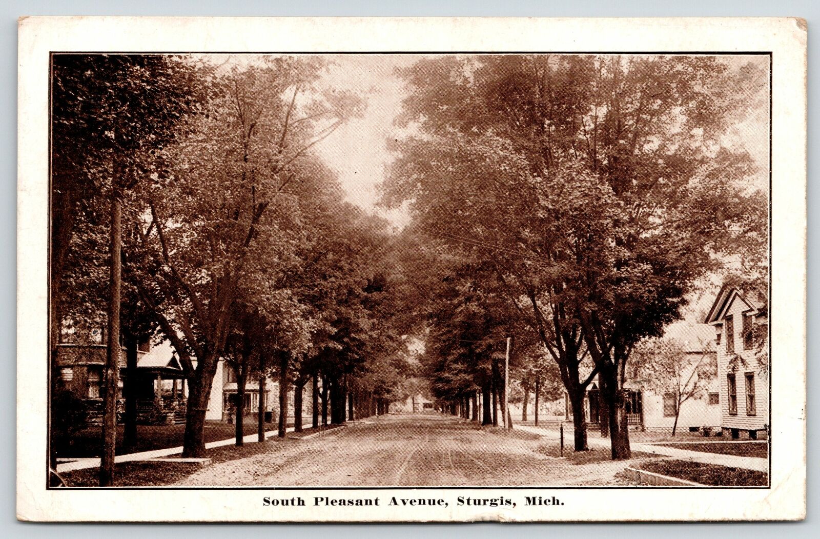 Sturgis Michigan~South Pleasant Avenue Homes~Tree-Lined Dirt Road~1912 B&W PC