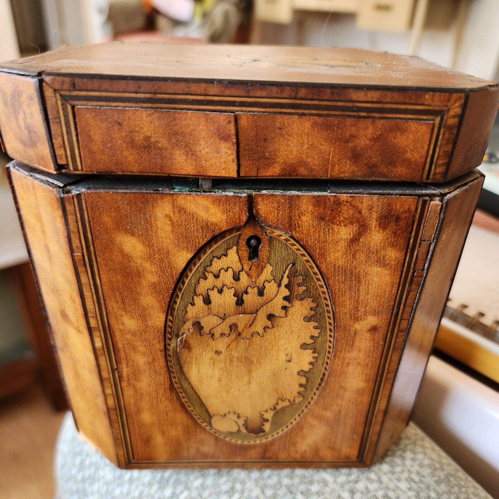 Antique 18th Century Inlaid Satinwood Tea Caddy Box