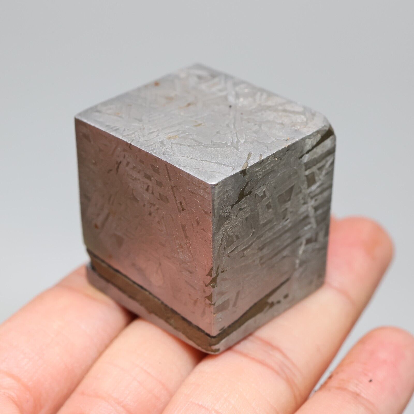 194g  Muonionalusta meteorite part slice C6841