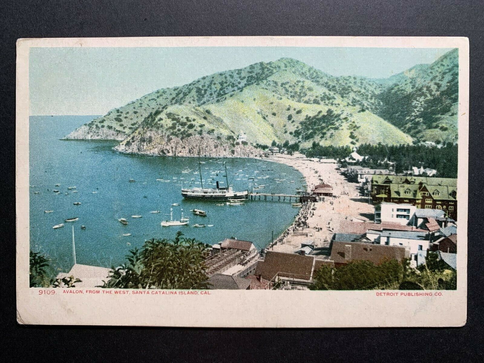 Postcard Avalon CA - c1900s Birds Eye View of Waterfront - Passenger Ferry