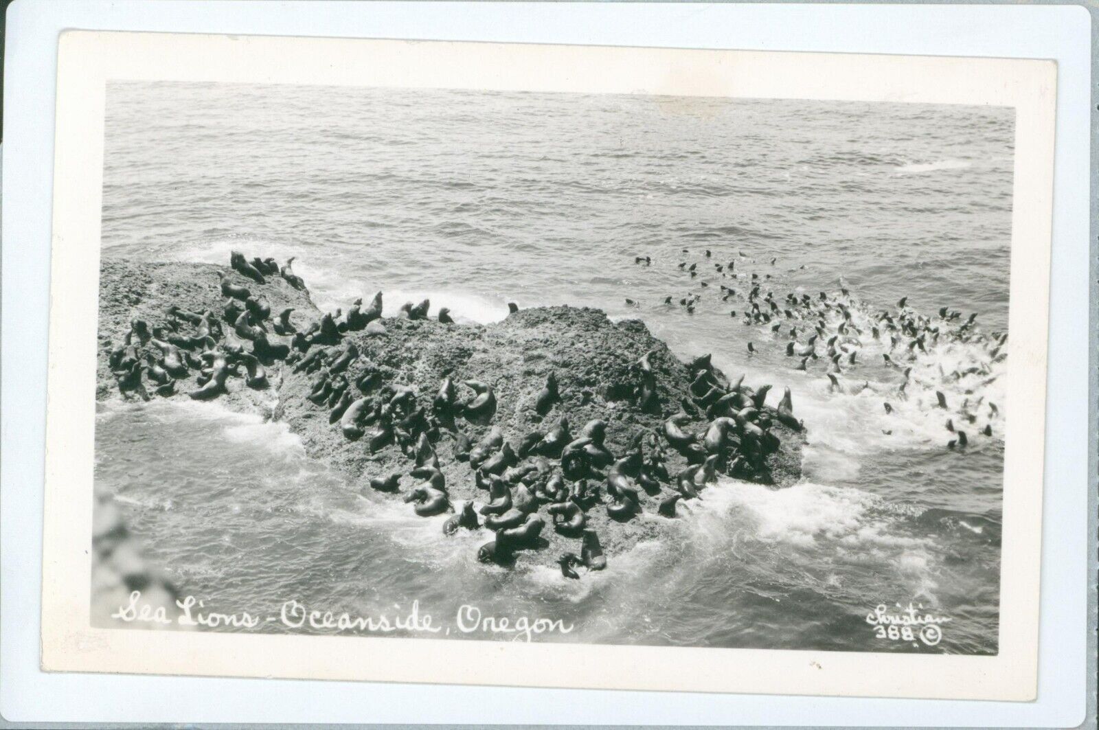 RPPC Oceanside OR Sea Lions Rock Aerial View Christian photo postcard DQ2
