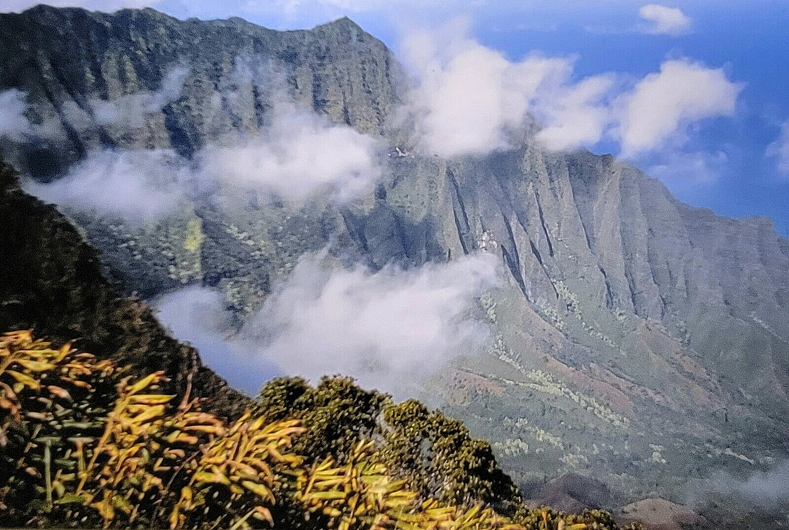 Hawaii Island, Mountain Landscape, Original Vintage Picture Film Slide 1992