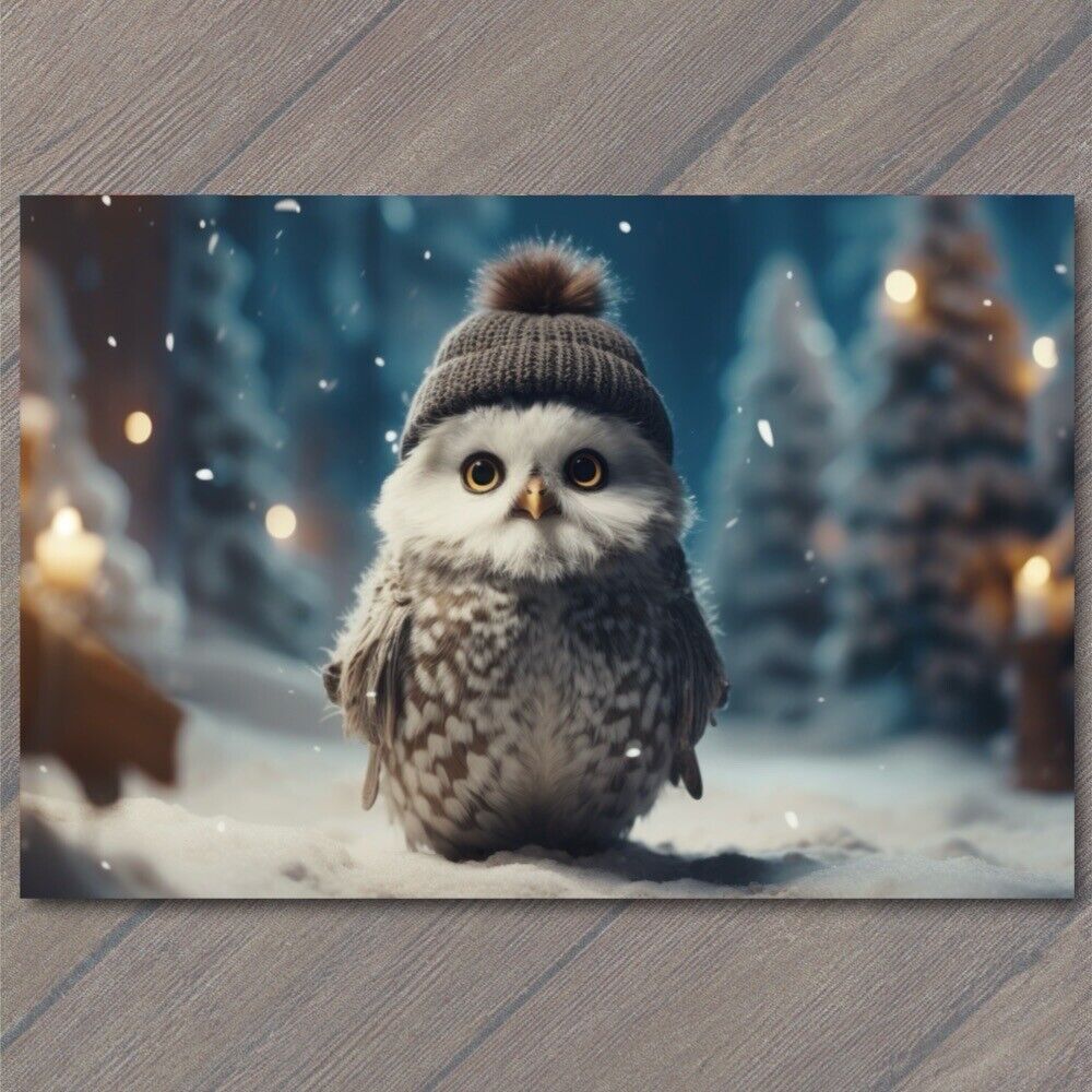 POSTCARD Cute Owl in Pom Pom Knitted Hat Snowy Delight Winter Cute Funny Hoot