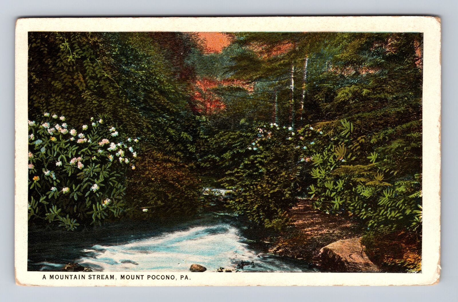 Mount Pocono PA-Pennsylvania, Mountain Stream, Antique, Vintage Postcard