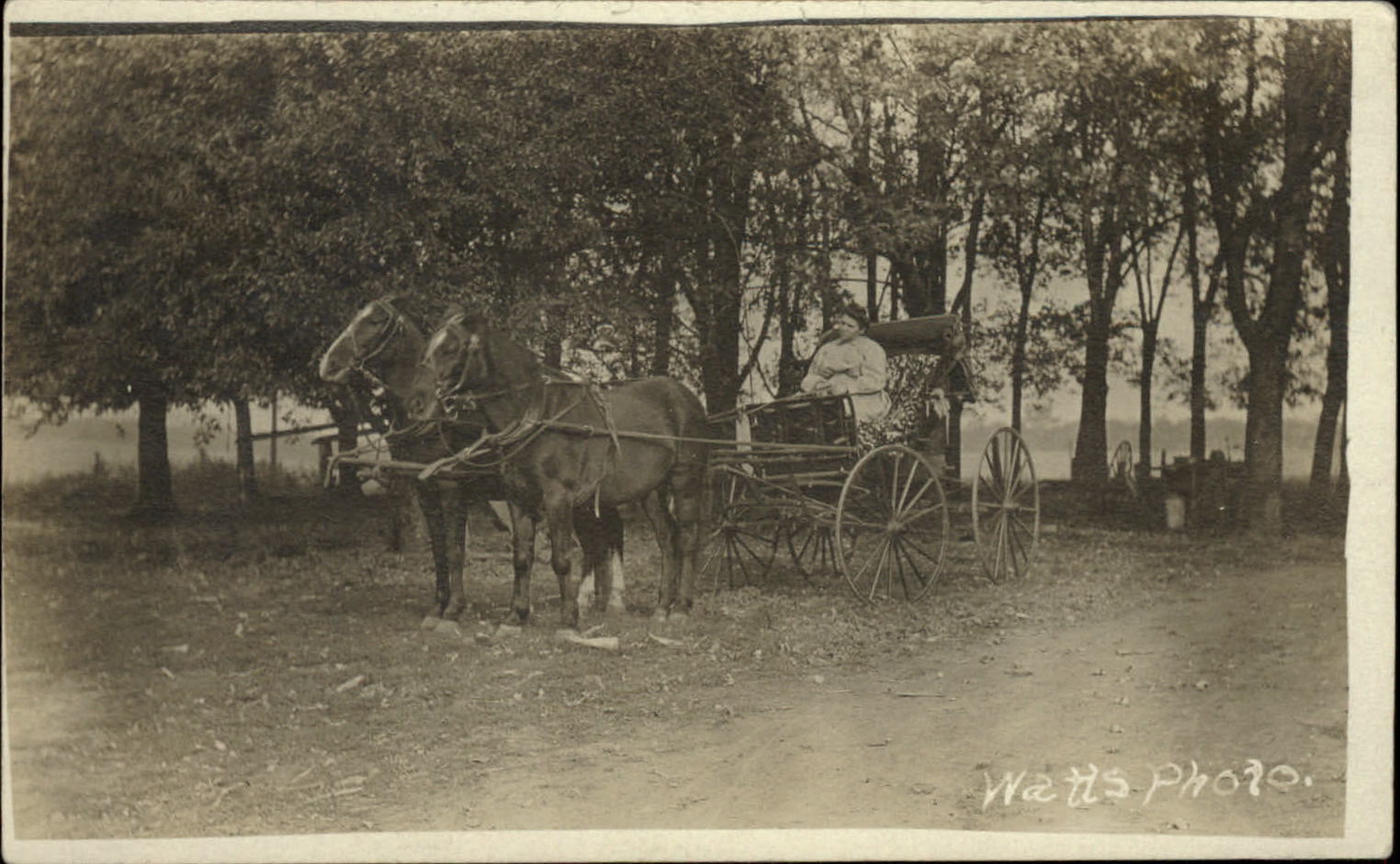 RPPC horse drawn carriage woman campground? Near lake Velox real photo 1907-17