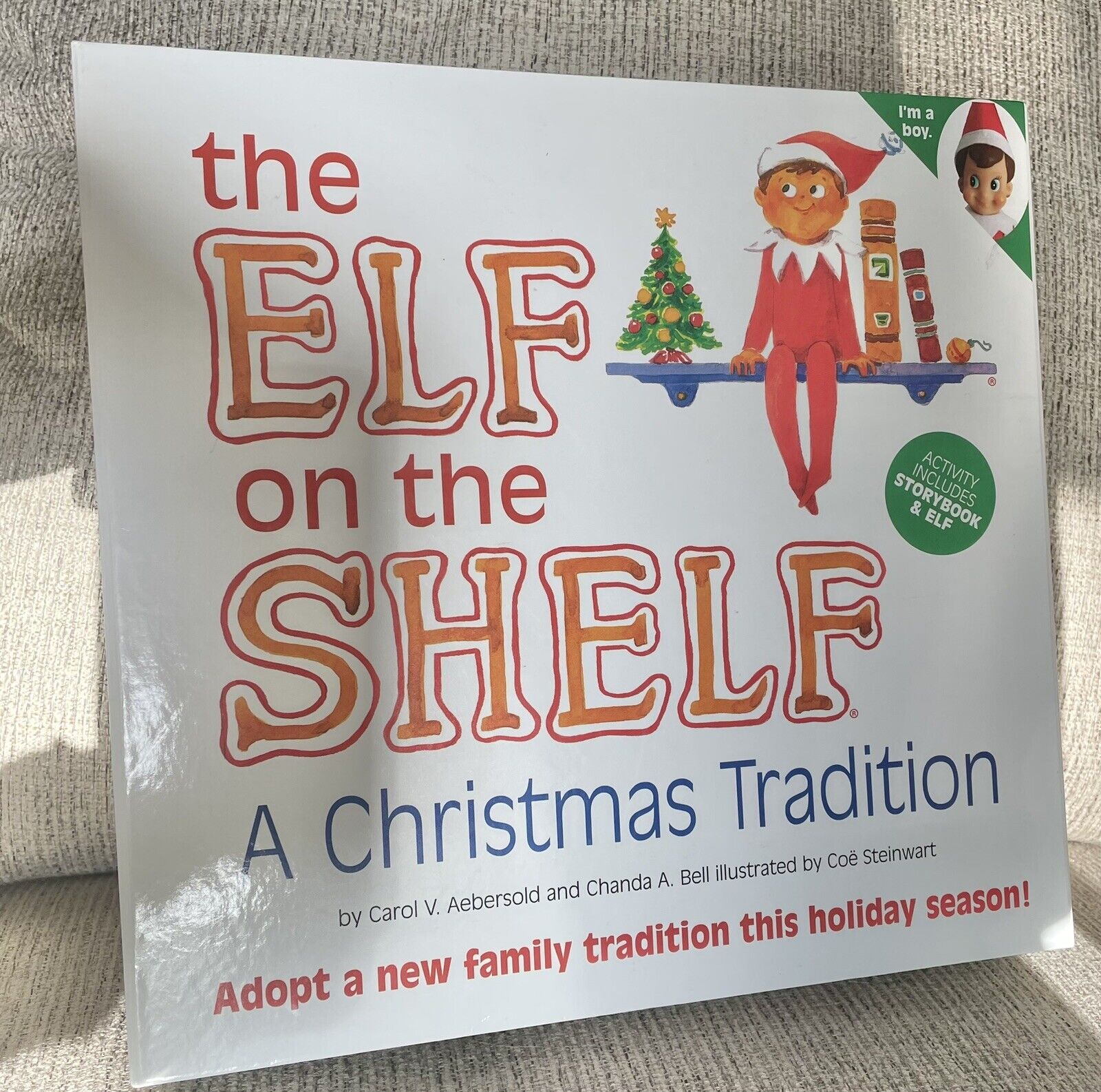 Elf on The Shelf a Christmas Tradition Toy Figure Boy With Book