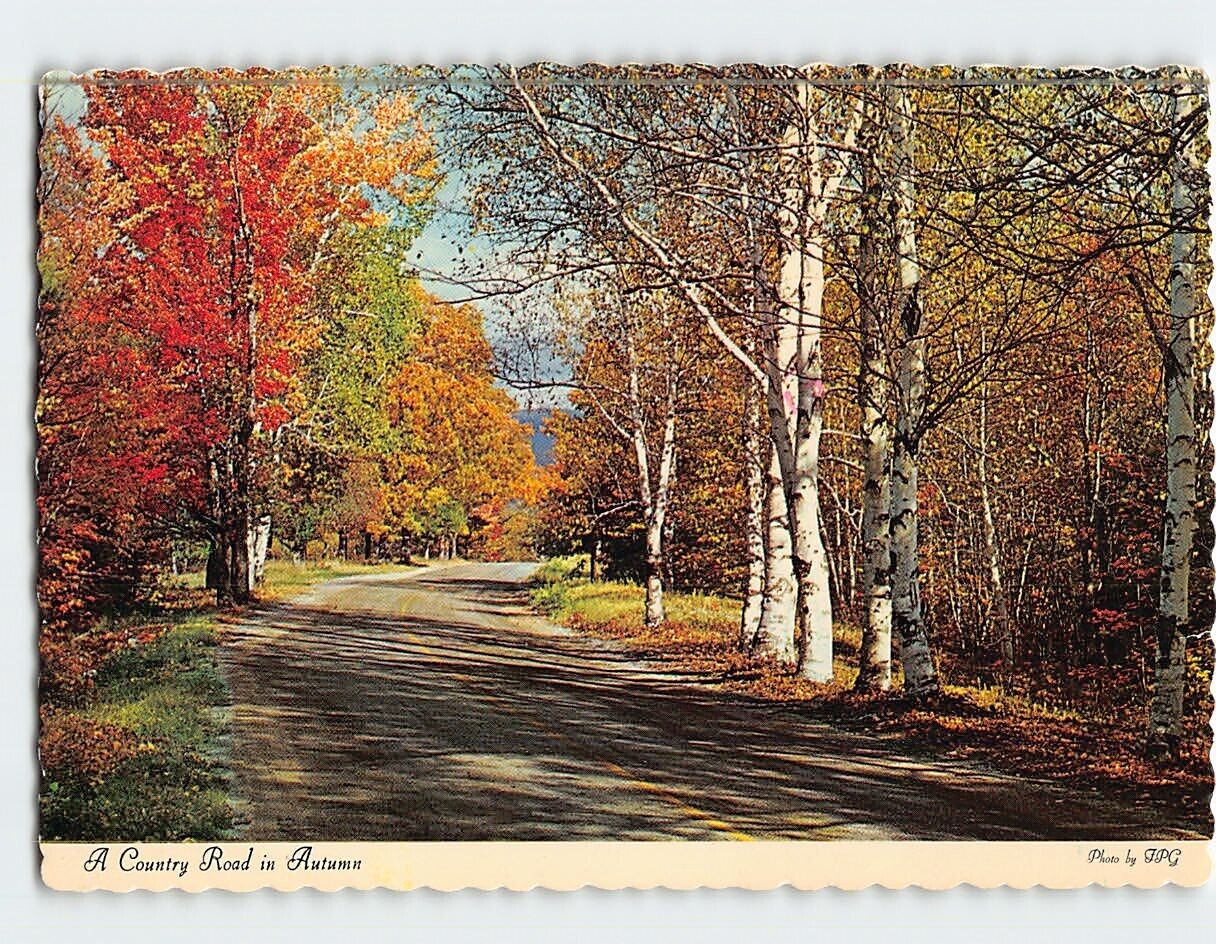 Postcard A Country Road in Autumn