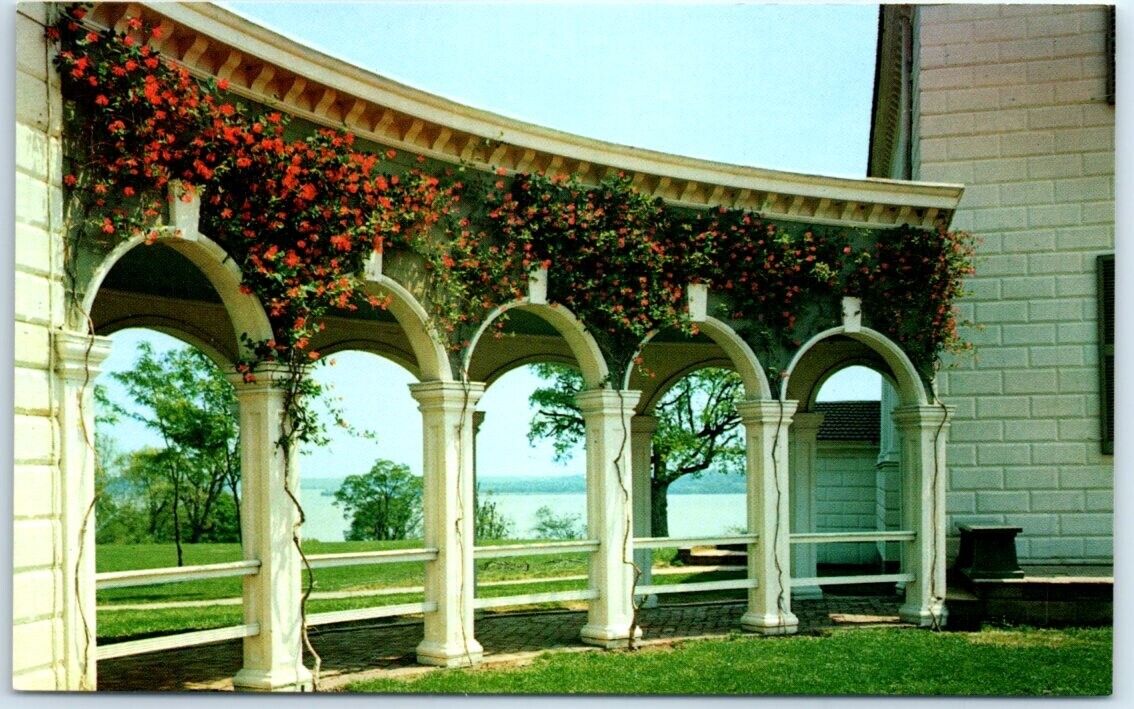 Postcard - Restoration re-planting of coral honeysuckle - Mount Vernon, Virginia