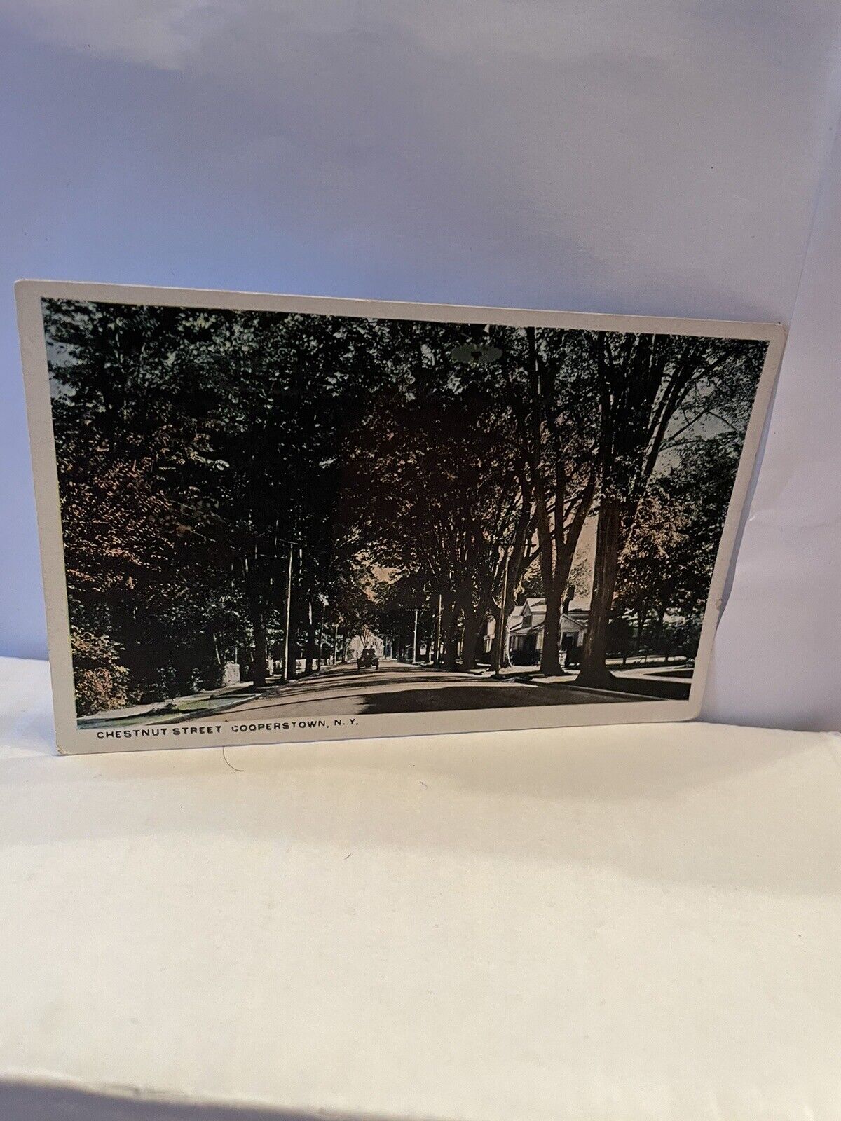 Cooperstown, NY, Vintage Post Card. Ref.# 2029