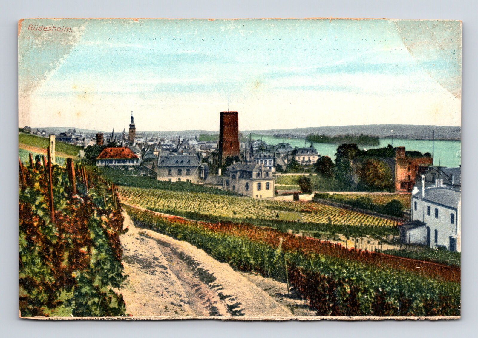 Scenic Vineyard View of Rudesheim Germany Postcard