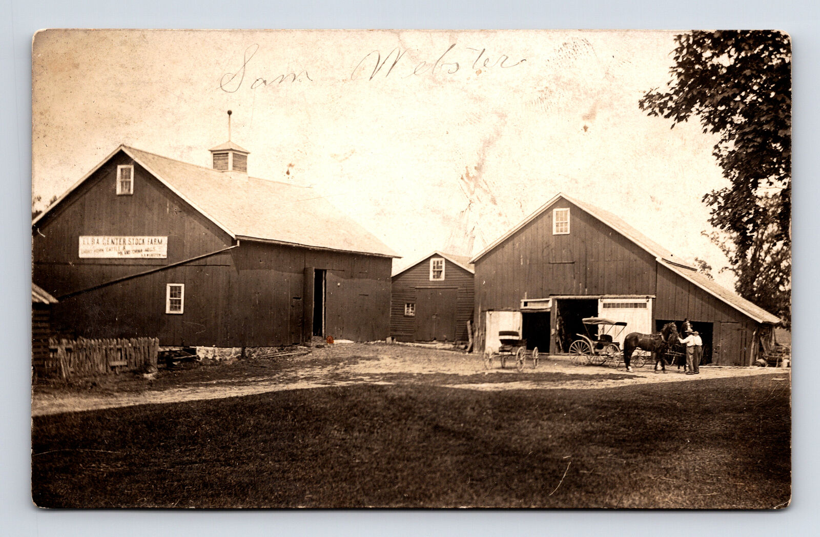 RPPC Sam Webster Elba Center Stock Farm Cattle Wisconsin WI Real Photo Postcard